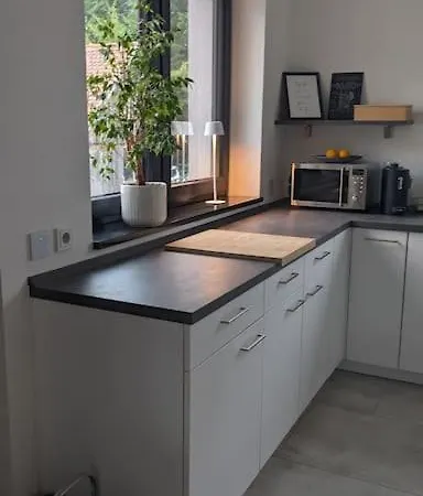 Apartment Moderne Zentral In Tbb *